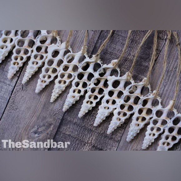 Sliced Seashell Ornaments Gift Set of 8 Strands Natural Wedding Favor TheSandbar - Picture 1 of 4